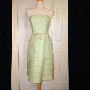 Bari Jay Dress size 12